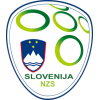 Landslagsdrakt Slovenia