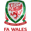 Landslagsdrakt Wales
